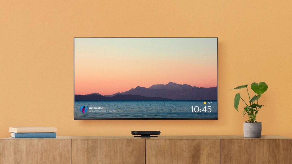 Marketing Insights: 55 inch televisions are most popular